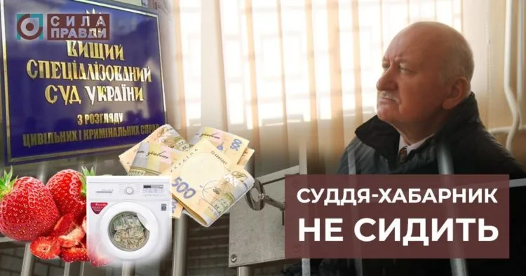 48381055_532020480612253_258255700608679936_n