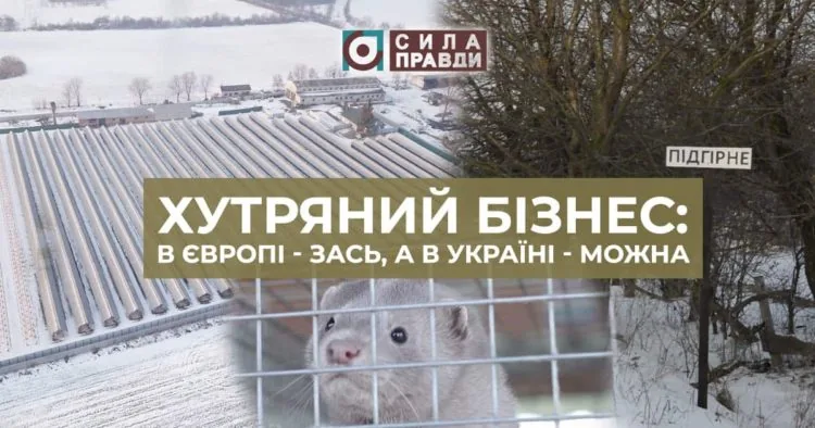 51552665_2110879398994370_1961971121288904704_n