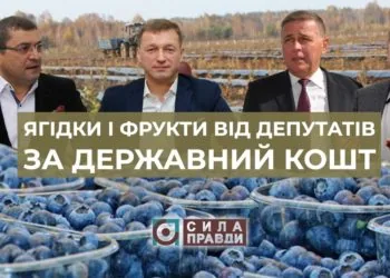 Лохина від депутатів, або Як на Волині поділили дотації на садівництво