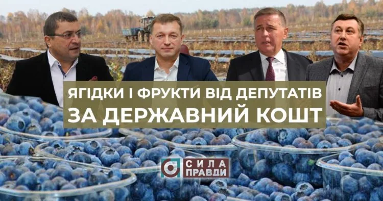Лохина від депутатів, або Як на Волині поділили дотації на садівництво