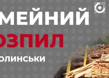 57588201_306251440275692_5504636403897597952_n