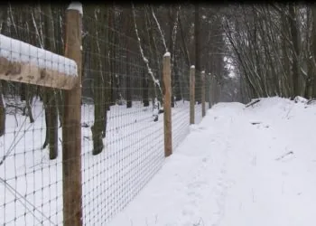 ilyustratyvne-foto-voljer