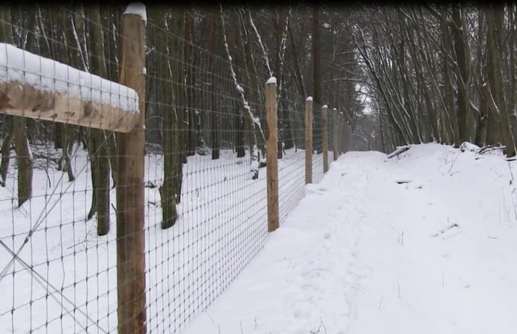 ilyustratyvne-foto-voljer