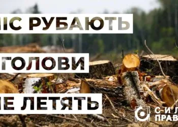 64609506_500232480746611_600944608511262720_n