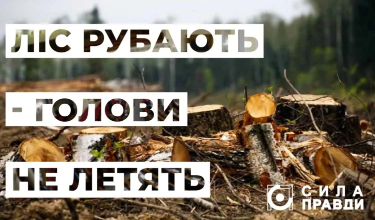 64609506_500232480746611_600944608511262720_n