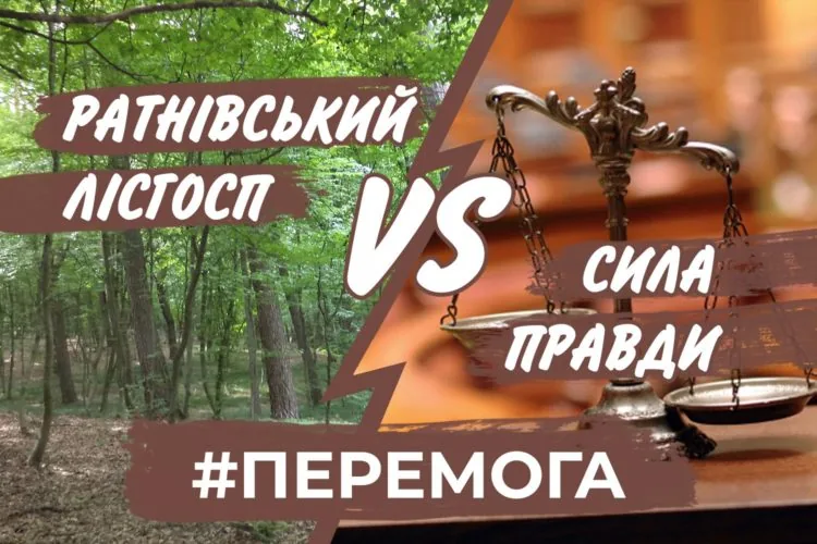 67847588_1659011694232249_6638965592080515072_n