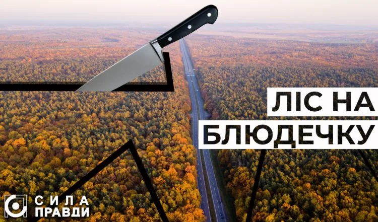 79434399_2454026764913666_2594029301821079552_n