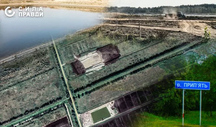 ягідка ставки