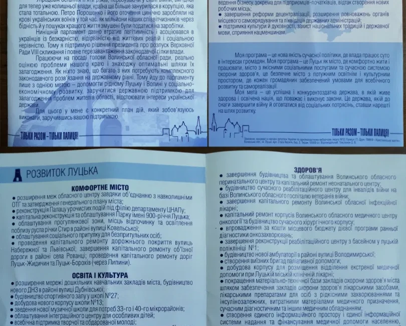 Передвиборча програма Ігор Палиця