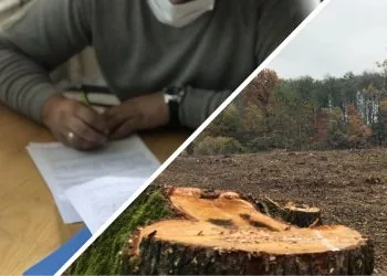 перевірки лісгоспів Олександр Кватирко