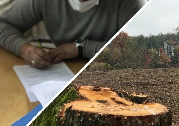 перевірки лісгоспів Олександр Кватирко