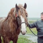 депутат Волинської обласної ради Роман Микитюк