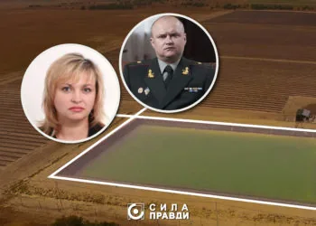 vlasnuku Frukty Polissia