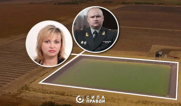 vlasnuku Frukty Polissia