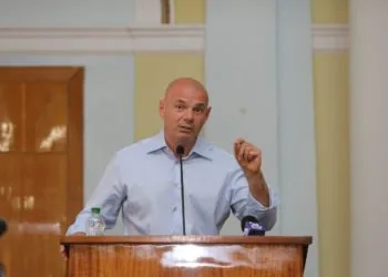 Батько нардепа від Луцька Ігоря Палиці купив землю на острові поблизу Києва