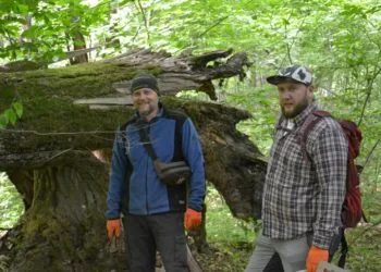 Тарас Сиротюк