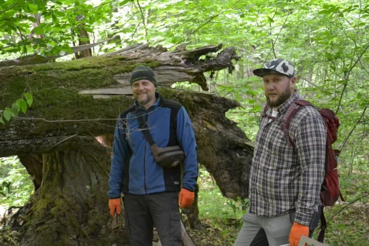 Тарас Сиротюк