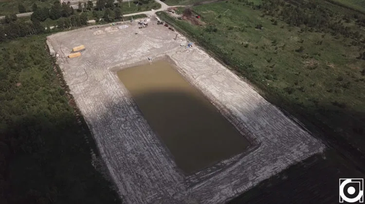 лохинові плантації