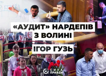 Головне аудит роботи Ігор Гузь