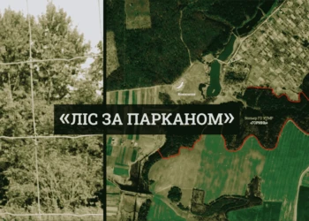 Ліс біля села Лище