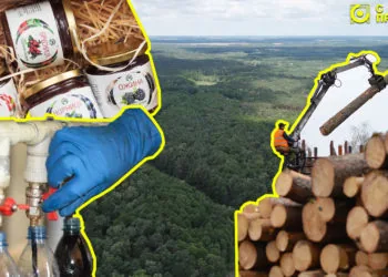 Головна лісгоспи