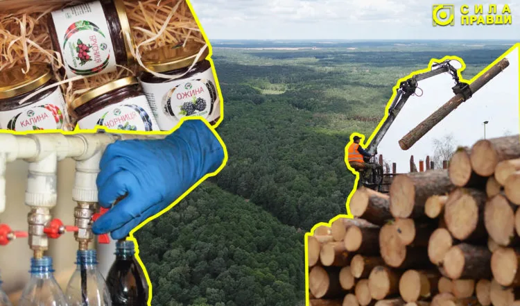 Головна лісгоспи