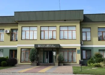 Маневицьке лісове господарство