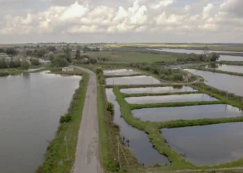 ставки у Несвічі аерозйомка