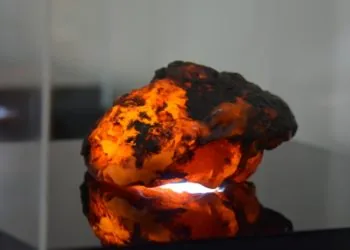 бурштин волиньприродресурс