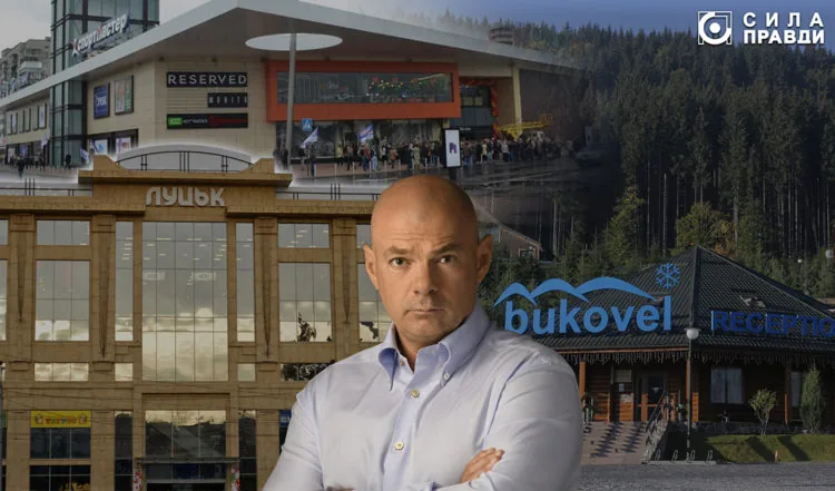 Бізнес і майно родини Ігоря Палиці