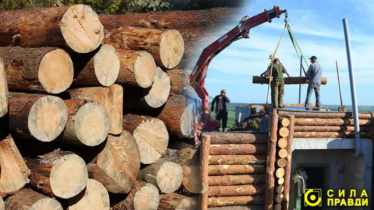 рубки лісу під час війни