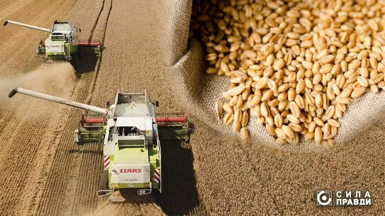 комбайни жнива