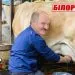 лукашенко доїть Білорусь