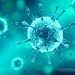коронавірус