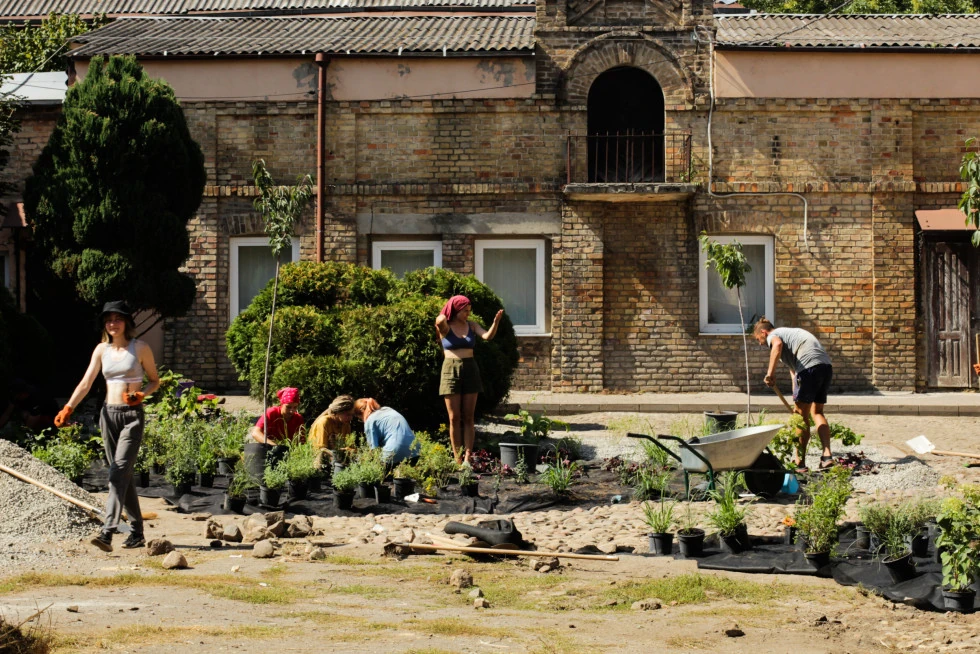 Гостинний двір толока
