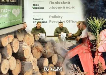 Поліський лісовий офіс головна