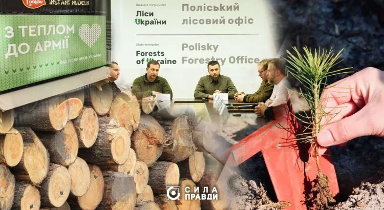 Поліський лісовий офіс головна