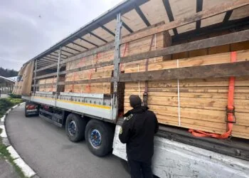 митниця ліс