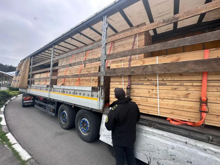 митниця ліс