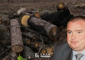 Справу Романа Колісника про вирубку в Цуманскій пущі реанімували.