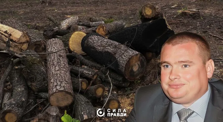 Справу Романа Колісника про вирубку в Цуманскій пущі реанімували.