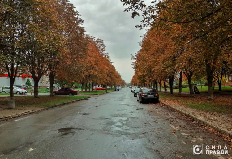 Луцька міська рада «злила» оточенню Палиці та Івахіва більше 47 мільйонів.