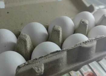 Яйця курячі