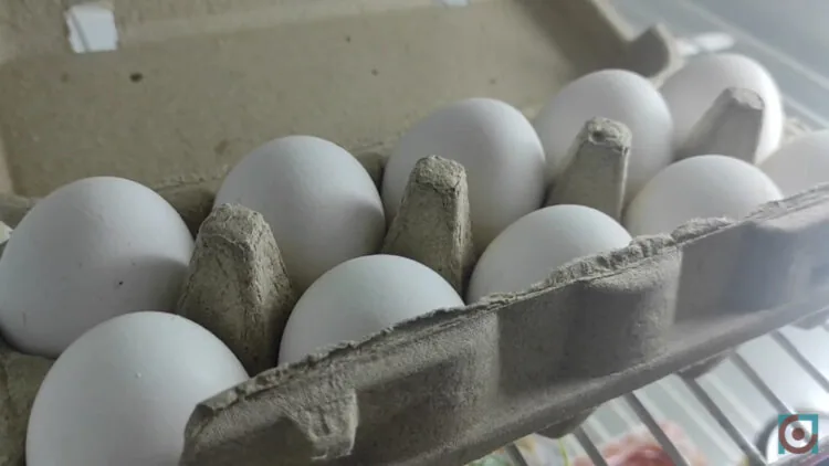 Яйця курячі