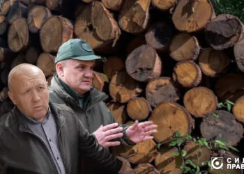 Рубка в Цуманській пущі