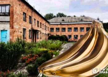 Руденський інтернат придбав фрукти за завищеними цінами