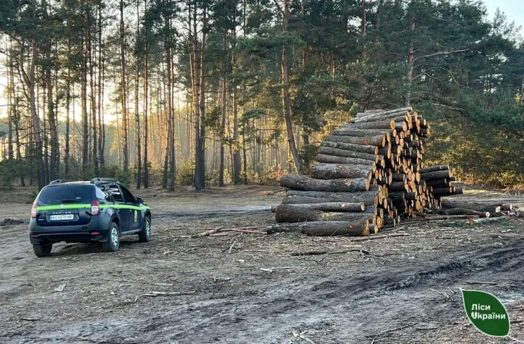 Юрій Болоховець анонсував підвищення зарплат працівникам лісової галузі. Фото ілюстративне