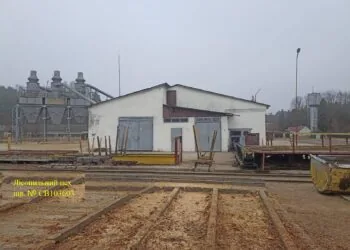 Лісопильний цех у селі Дубечному