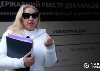 Алла Наливайко, декларація