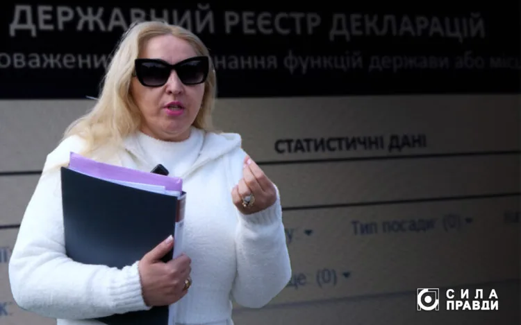 Алла Наливайко, декларація